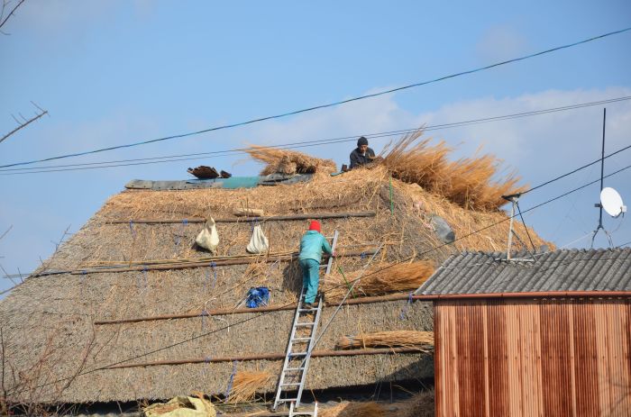Straw Roof 1