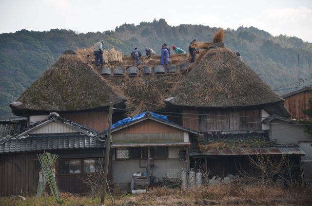 Straw Roof 2